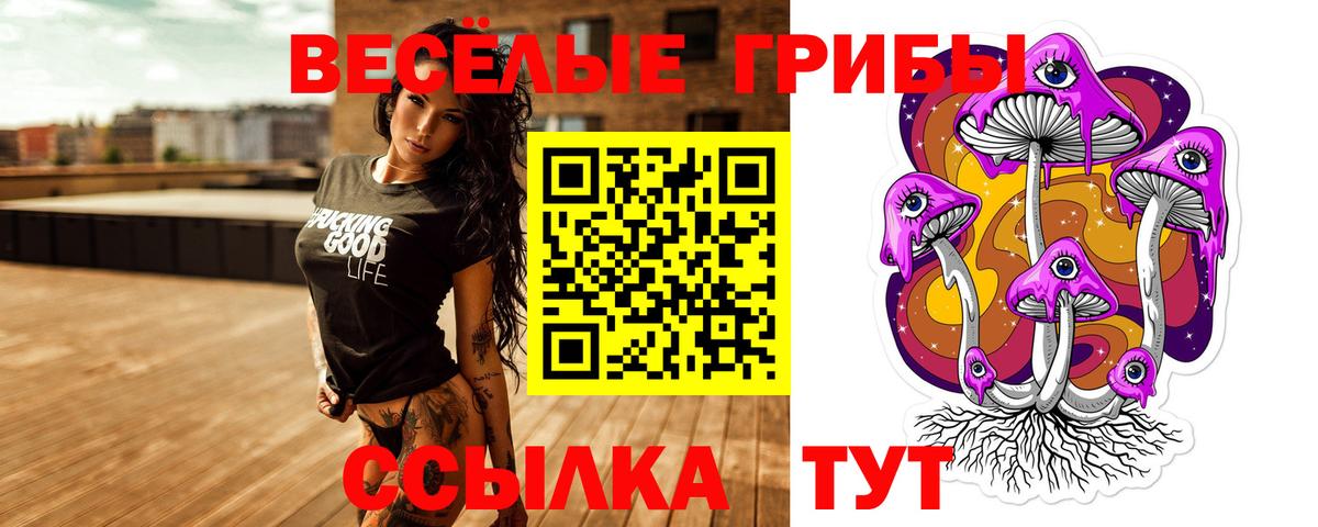 Галлюциногенные грибы Psilocybe Тихорецк